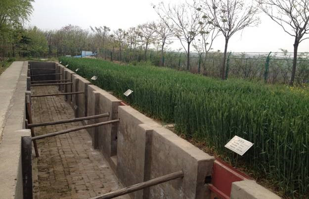 永信贵宾会·217(中国区)官方网站
