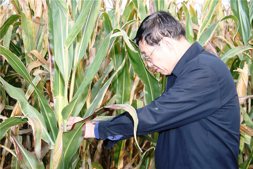 永信贵宾会·217(中国区)官方网站