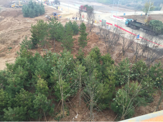 永信贵宾会·217(中国区)官方网站