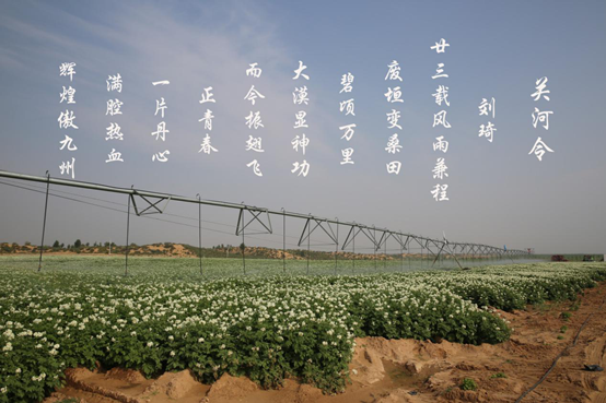 永信贵宾会·217(中国区)官方网站