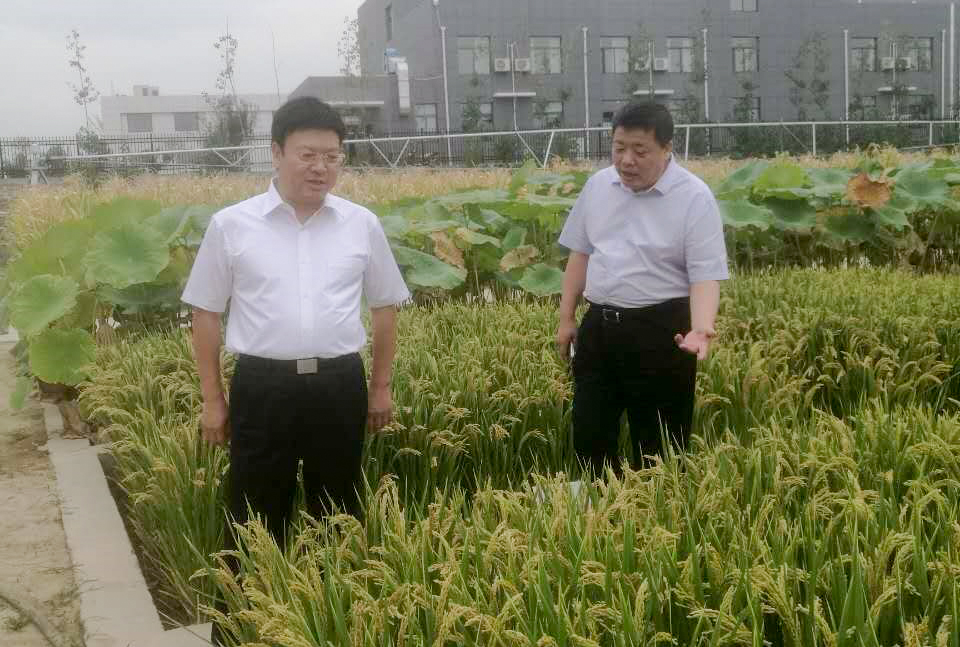永信贵宾会·217(中国区)官方网站