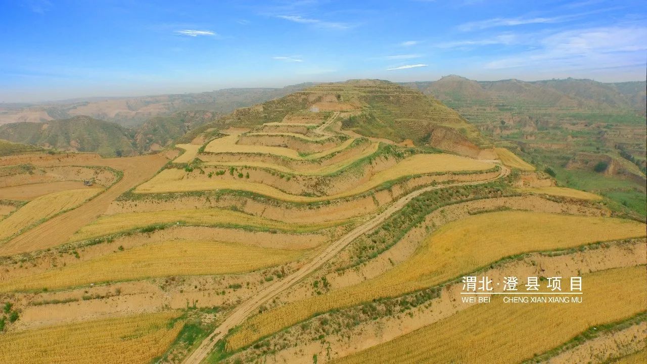 永信贵宾会·217(中国区)官方网站
