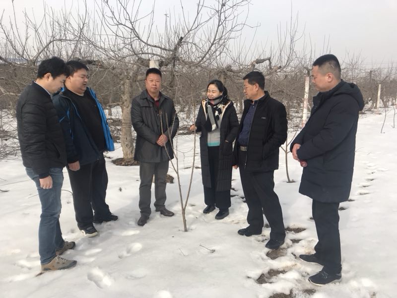 永信贵宾会·217(中国区)官方网站