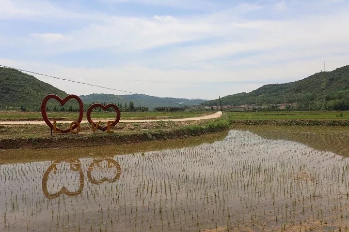 永信贵宾会·217(中国区)官方网站