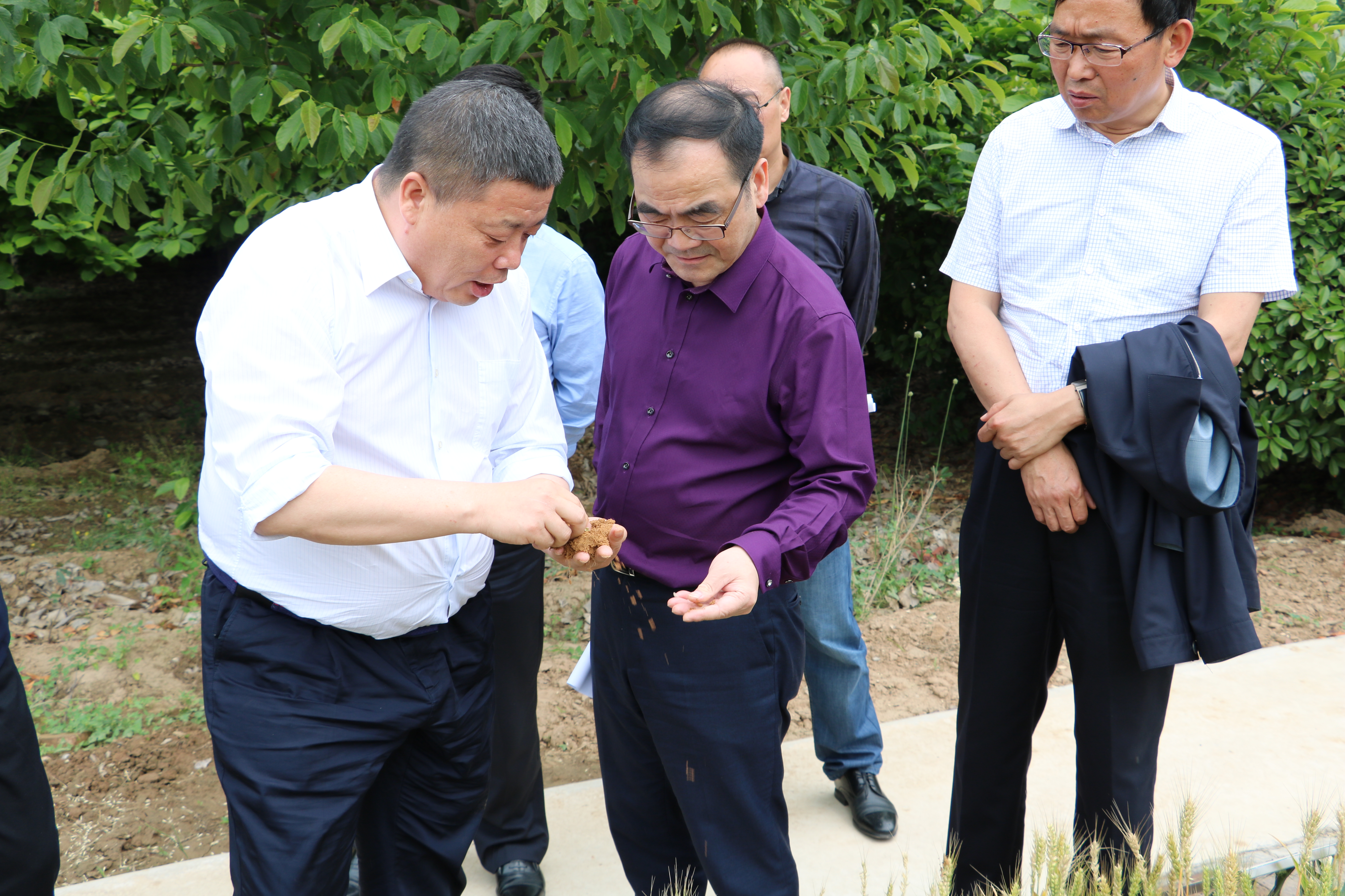 永信贵宾会·217(中国区)官方网站