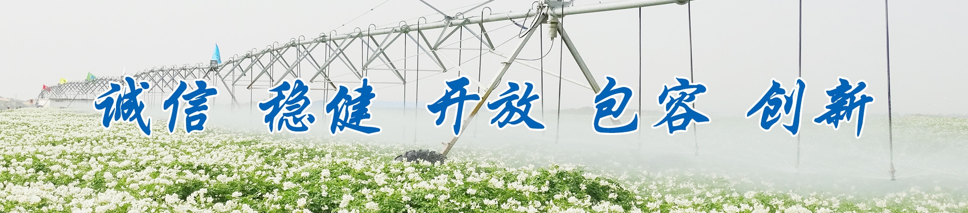 永信贵宾会·217(中国区)官方网站