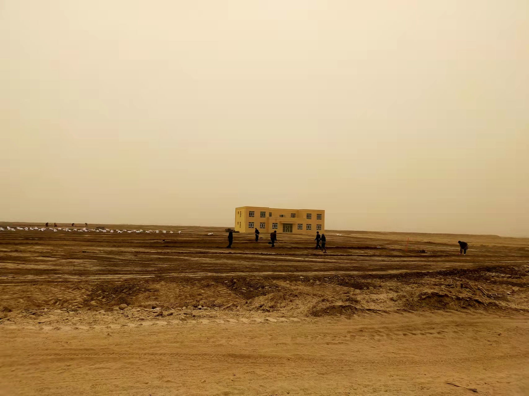6.新疆阿克陶盐碱地研究站（将图中人P掉，，，，，，天气p好一点）.jpg