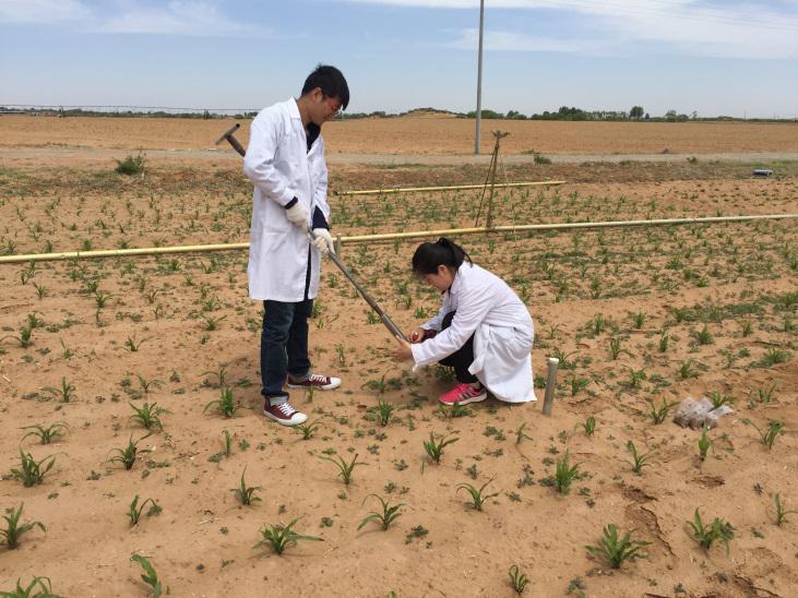 永信贵宾会·217(中国区)官方网站