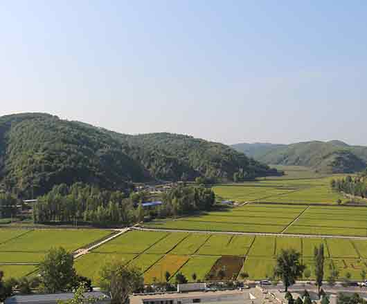 永信贵宾会·217(中国区)官方网站