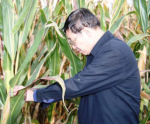 永信贵宾会·217(中国区)官方网站